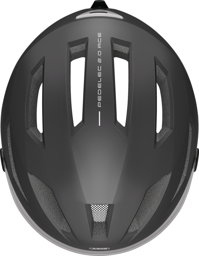 Pedelec 2.0 ACE titan M