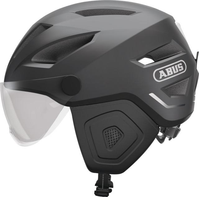 Pedelec 2.0 ACE titan L