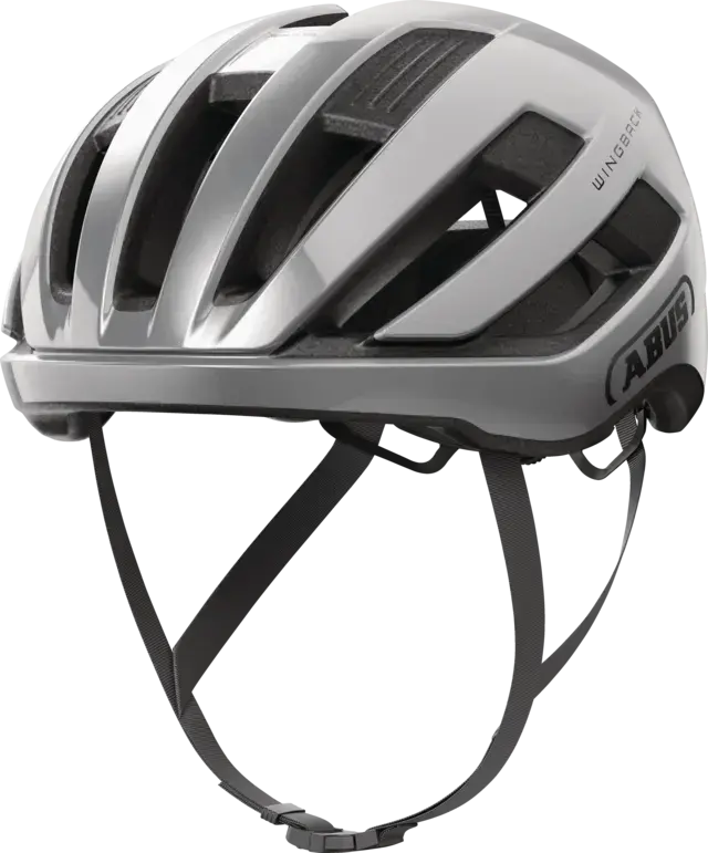 WingBack gleam silver M