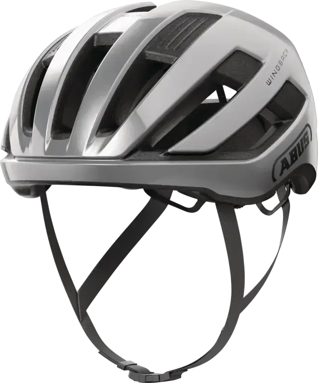 WingBack gleam silver L