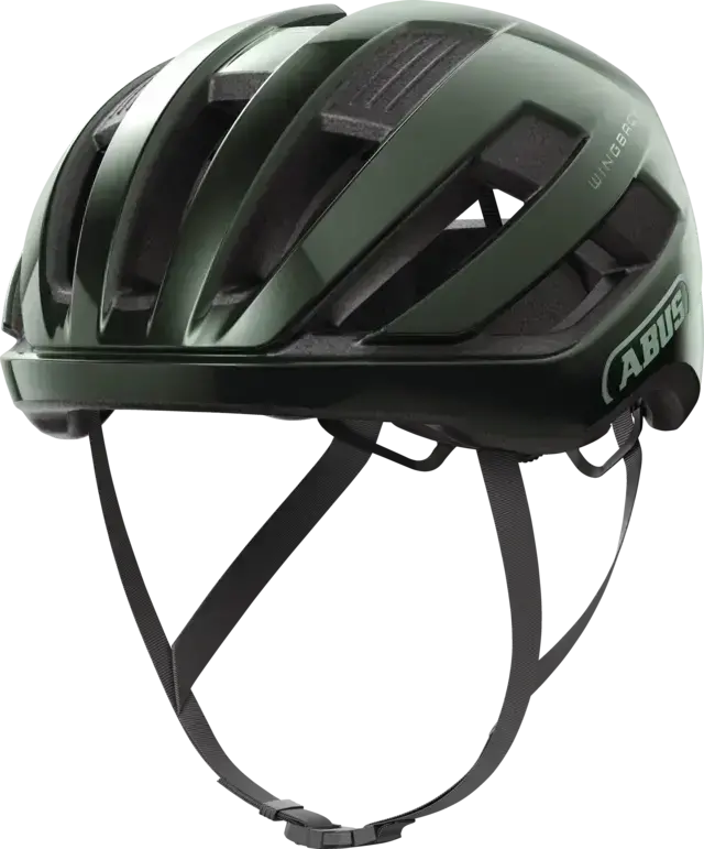 WingBack moss green L